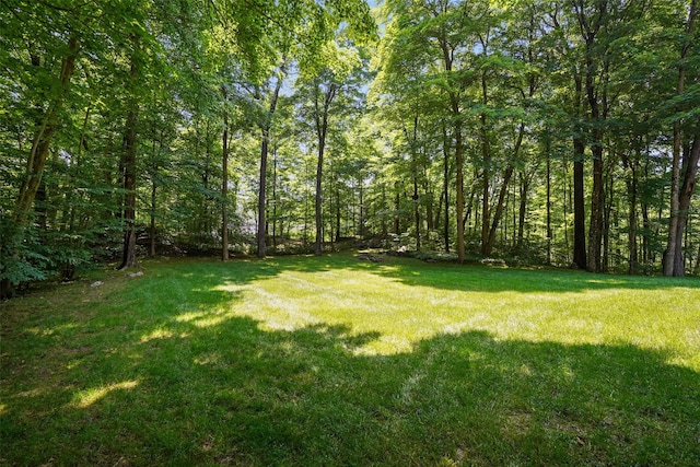 28 Stone Paddock Pl, Bedford, NY 10506 - view of grassy yard featuring a wooded view