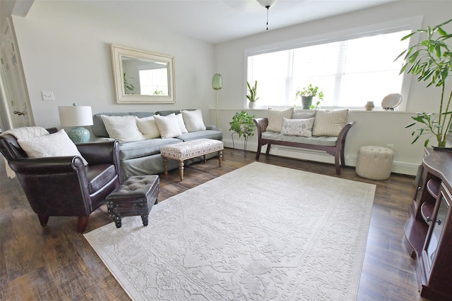 6 Zebra Rd, Rocky Point, NY 11778 - living room featuring dark wood-type flooring