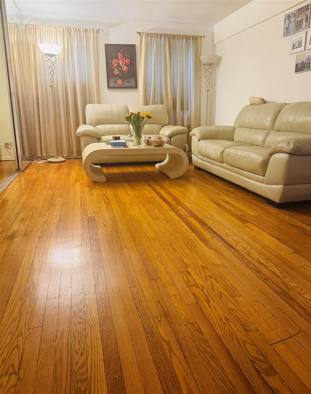 118-60 Metropolitan Ave Unit 1J, Kew Gardens, NY 11415 - living room with light wood-type flooring