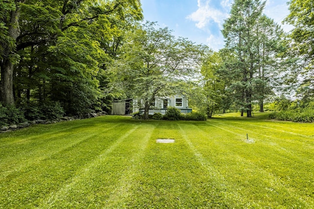252 Ernest Rd, Millbrook, NY 12545 - view of grassy yard