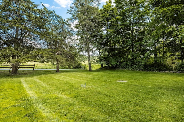 252 Ernest Rd, Millbrook, NY 12545 - view of grassy yard