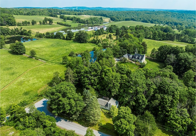 252 Ernest Rd, Millbrook, NY 12545 - aerial overview of property's location with a large body of water