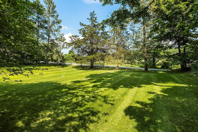 252 Ernest Rd, Millbrook, NY 12545 - view of grassy yard