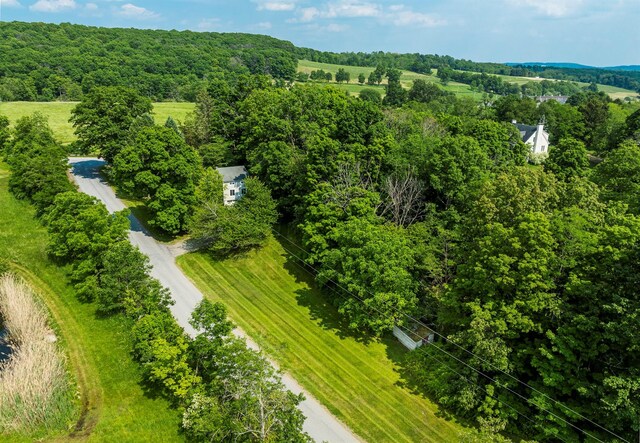 252 Ernest Rd, Millbrook, NY 12545 - bird's eye view