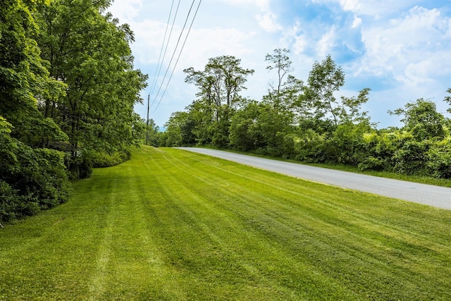 252 Ernest Rd, Millbrook, NY 12545 - view of grassy yard