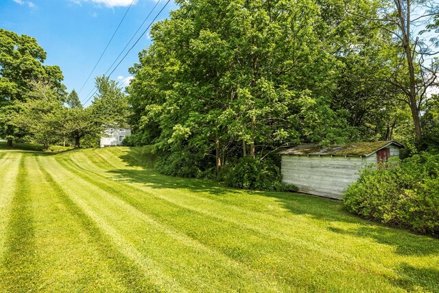 252 Ernest Rd, Millbrook, NY 12545 - view of green lawn with a shed