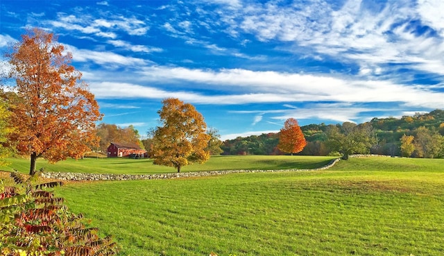 252 Ernest Rd, Millbrook, NY 12545 - surrounding community featuring a yard