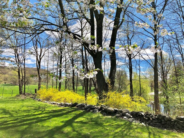 252 Ernest Rd, Millbrook, NY 12545 - view of grassy yard