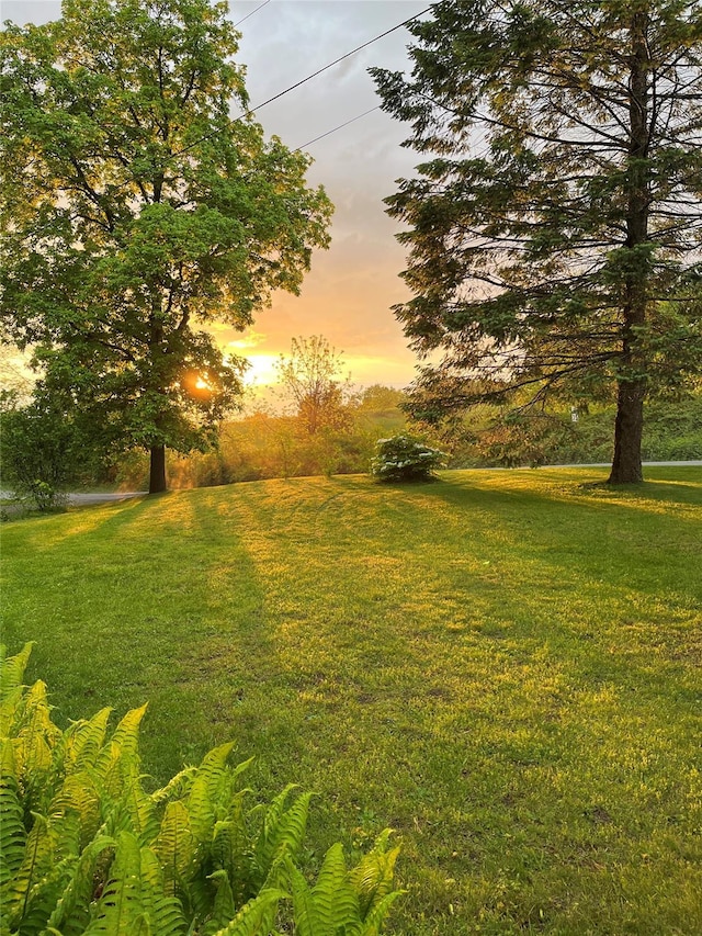 252 Ernest Rd, Millbrook, NY 12545 - yard at dusk with a yard