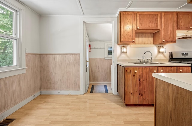 252 Ernest Rd, Millbrook, NY 12545 - kitchen with stainless steel range oven, under cabinet range hood, light countertops, light wood-style floors, and a wainscoted wall