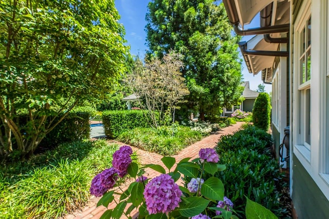 120 Cambon Ave, Saint James, NY 11780 - view of yard