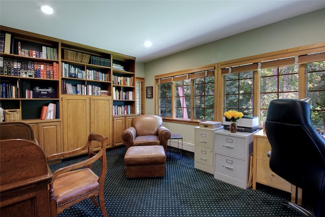 100 Gristmill Ln, Manhasset, NY 11030 - office space with dark carpet, baseboard heating, and recessed lighting