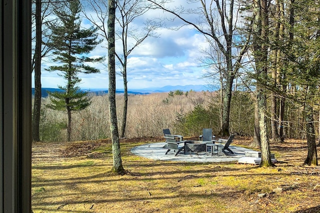 66 Beacon Hill Rd, Call Listing Agent, NY 12060 - view of yard featuring a fire pit, a patio, and a forest view
