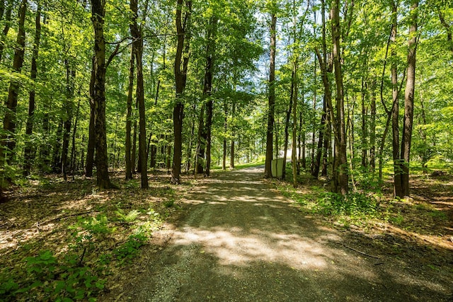 66 Beacon Hill Rd, Call Listing Agent, NY 12060 - view of local wilderness