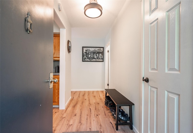 331 Heritage Hls Unit A, Somers, NY 10589 - corridor with light wood-type flooring and baseboards