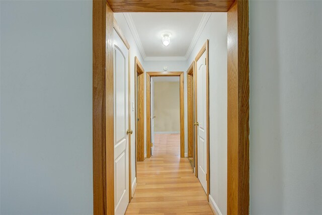 211-19A 73rd Ave Lower, Lower, Oakland Gardens, NY 11364 - photo 7