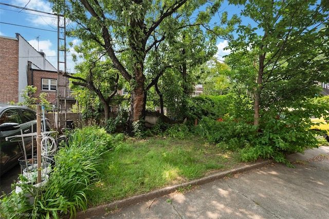 3916 51st St, Woodside, NY 11377 - view of yard