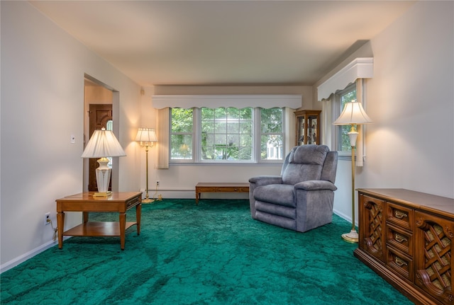 17 Shady Ln, Scarsdale, NY 10583 - living area featuring healthy amount of natural light, carpet flooring, and a baseboard radiator