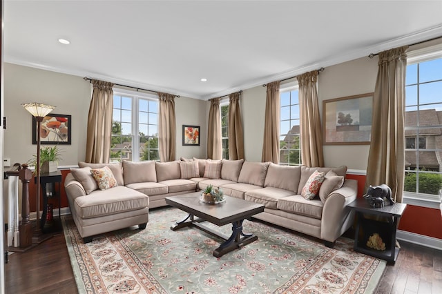 8 Langeloth Dr, Cortlandt Manor, NY 10567 - living room featuring plenty of natural light, dark wood-type flooring, ornamental molding, and recessed lighting