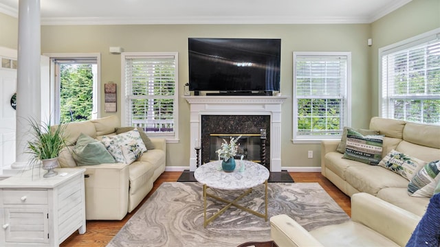 35 Terrace Ln Unit 35, Patchogue, NY 11772 - living area featuring ornamental molding, wood finished floors, and a premium fireplace