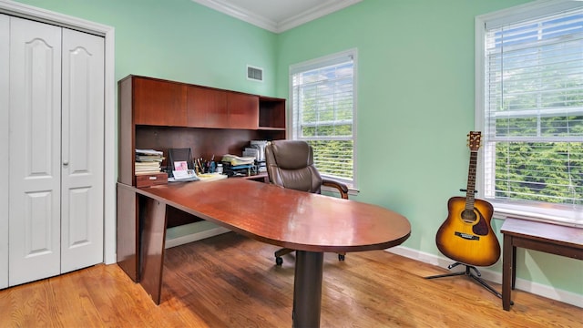 35 Terrace Ln Unit 35, Patchogue, NY 11772 - office space with crown molding, healthy amount of natural light, and light wood-style floors