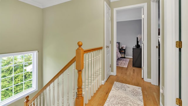 35 Terrace Ln Unit 35, Patchogue, NY 11772 - corridor with an upstairs landing, light wood-style floors, and crown molding