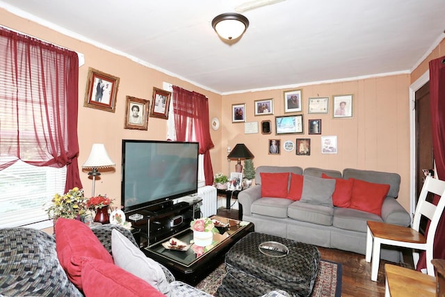 23 N Midland Ave, Nyack, NY 10960 - living area featuring ornamental molding, wood finished floors, and radiator
