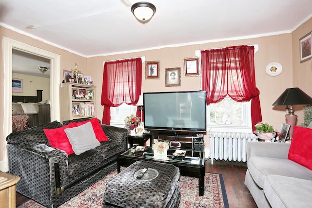 23 N Midland Ave, Nyack, NY 10960 - living room with radiator, hardwood / wood-style floors, and crown molding