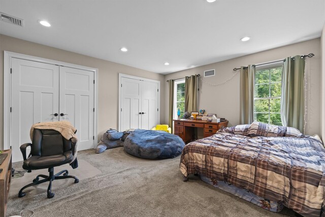 1 Hidden Hills Ct, Warwick, NY 10990 - bedroom featuring carpet, multiple windows, recessed lighting, and multiple closets