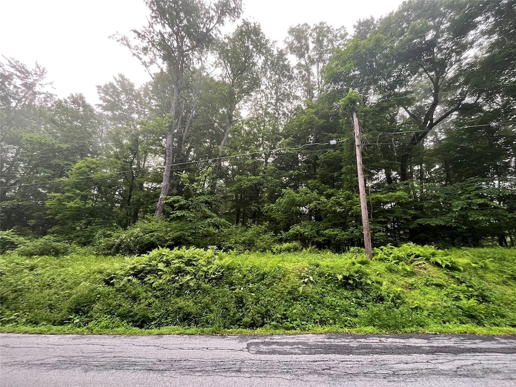 Pine Hill Rd, Pleasant Valley, NY 12569 - photo 1