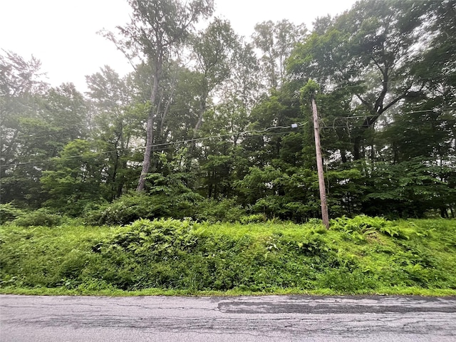 Pine Hill Rd, Pleasant Valley, NY 12569 - photo 1