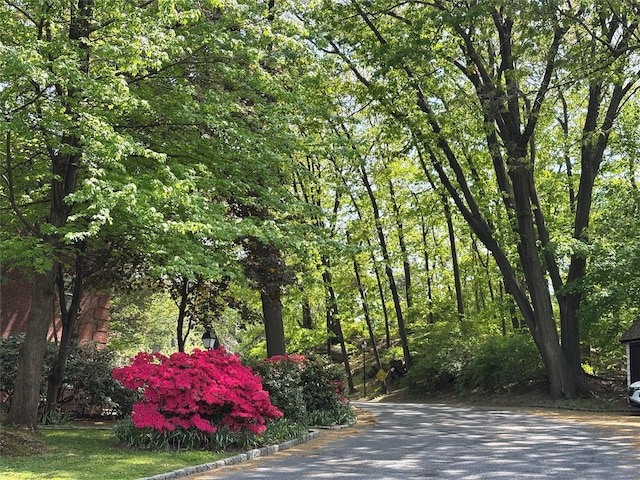 1360 Midland Ave Unit 1B, Bronxville, NY 10708 - surrounding community