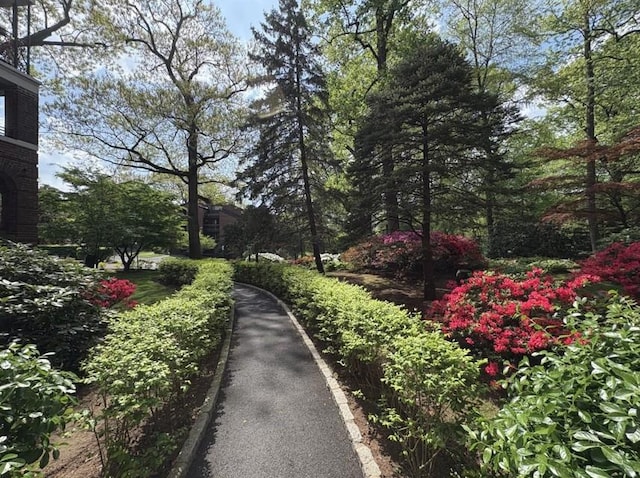 1360 Midland Ave Unit 1B, Bronxville, NY 10708 - view of street