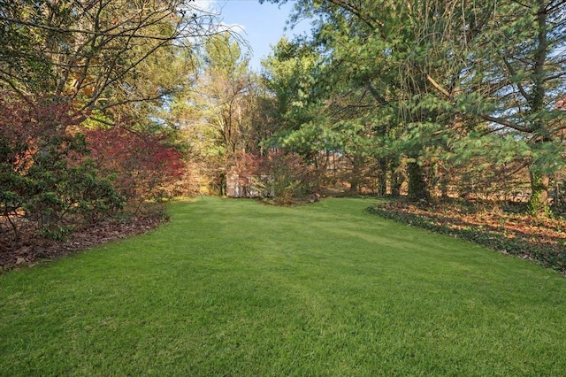 175 Laurel Ln, Laurel Hollow, NY 11791 - view of green lawn