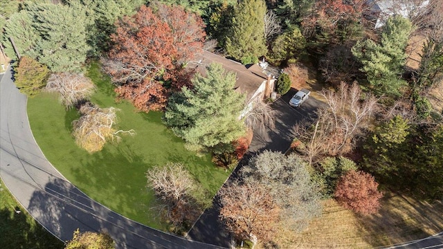 175 Laurel Ln, Laurel Hollow, NY 11791 - drone / aerial view