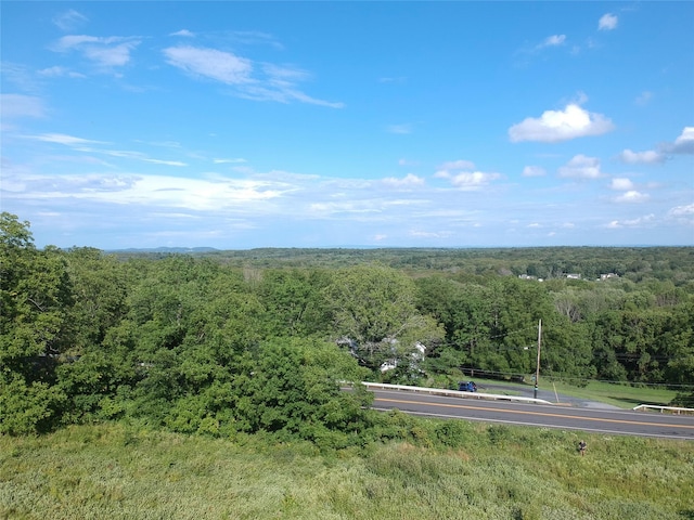 LOT4 Mountain Rd, Port Jervis, NY 12771