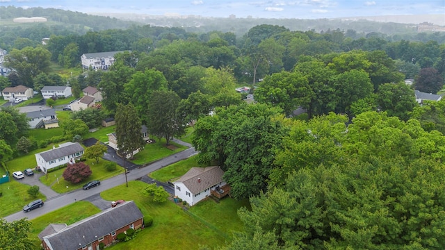29 Chestnut St, Poughkeepsie, NY 12601 - aerial view of property's location featuring a heavily wooded area