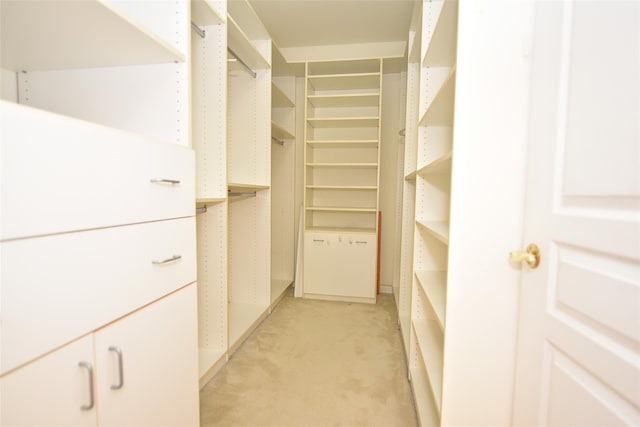 30 N De Baun Ave N Unit 208, Suffern, NY 10901 - spacious closet with light colored carpet