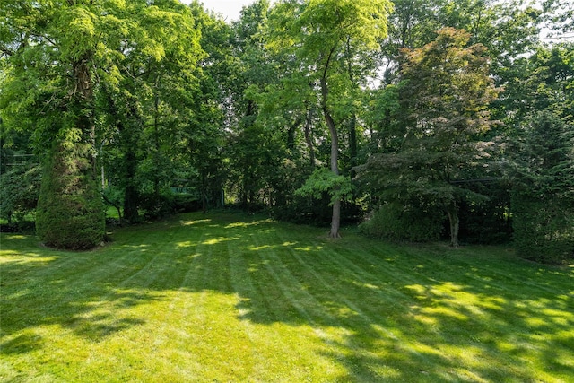 64 Highland Ave, Roslyn, NY 11576 - view of grassy yard
