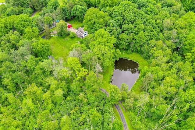 591 Hillside Lake Rd, Wappingers Falls, NY 12590 - aerial view of a large body of water