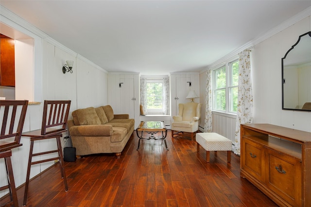 591 Hillside Lake Rd, Wappingers Falls, NY 12590 - living room featuring dark wood-type flooring, crown molding, and baseboard heating