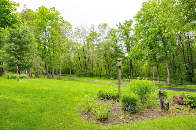 591 Hillside Lake Rd, Wappingers Falls, NY 12590 - view of yard