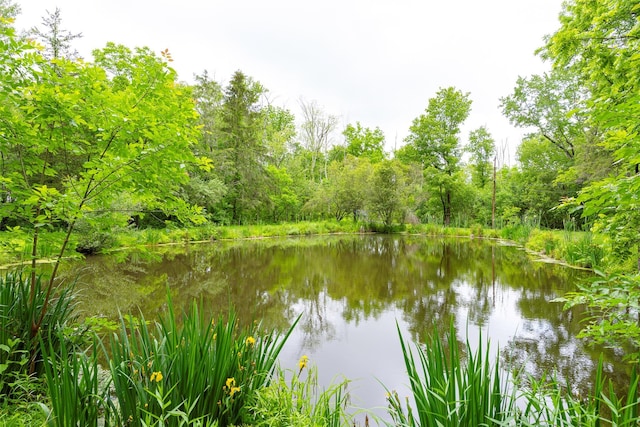 591 Hillside Lake Rd, Wappingers Falls, NY 12590 - water view