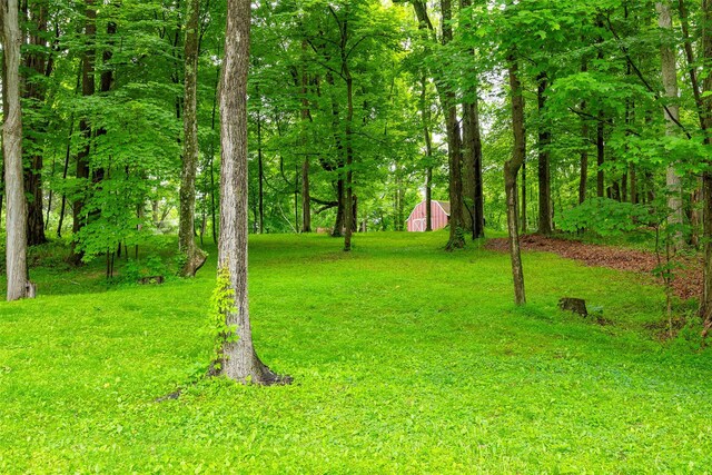 591 Hillside Lake Rd, Wappingers Falls, NY 12590 - view of green lawn featuring an outbuilding