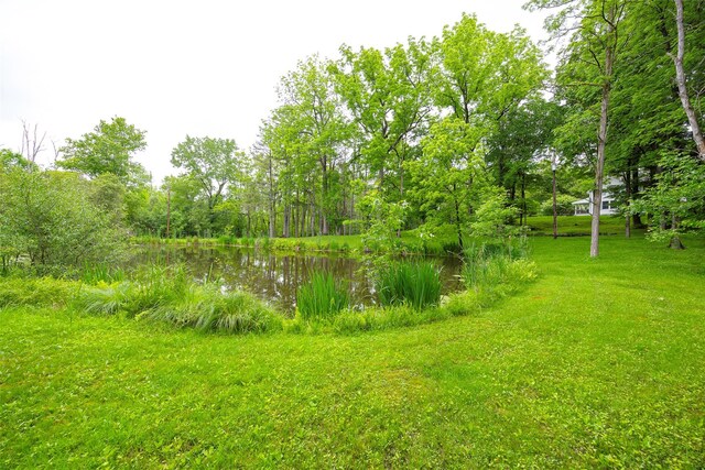 591 Hillside Lake Rd, Wappingers Falls, NY 12590 - view of green lawn with a water view