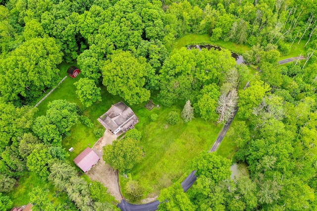 591 Hillside Lake Rd, Wappingers Falls, NY 12590 - bird's eye view
