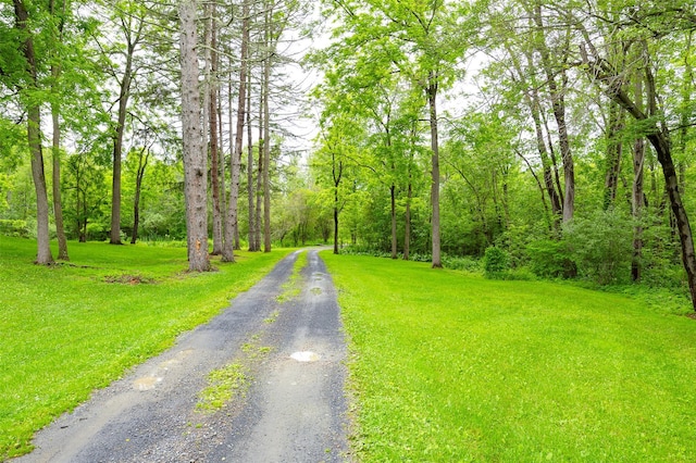 591 Hillside Lake Rd, Wappingers Falls, NY 12590 - view of street with a wooded view