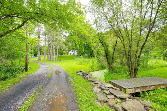 591 Hillside Lake Rd, Wappingers Falls, NY 12590 - surrounding community with a yard and driveway
