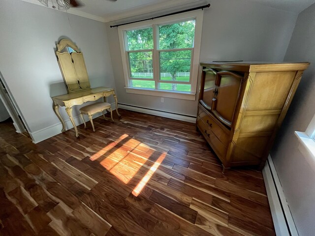 591 Hillside Lake Rd, Wappingers Falls, NY 12590 - bedroom with a baseboard heating unit, dark wood-style floors, and crown molding