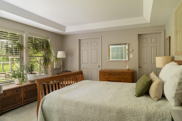 70 Reardon York Est, Canaan, NY 12029 - bedroom with a raised ceiling and light carpet